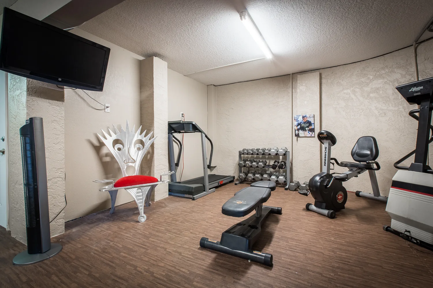 Home gym with treadmill, weight bench, dumbbells and recumbent bike
