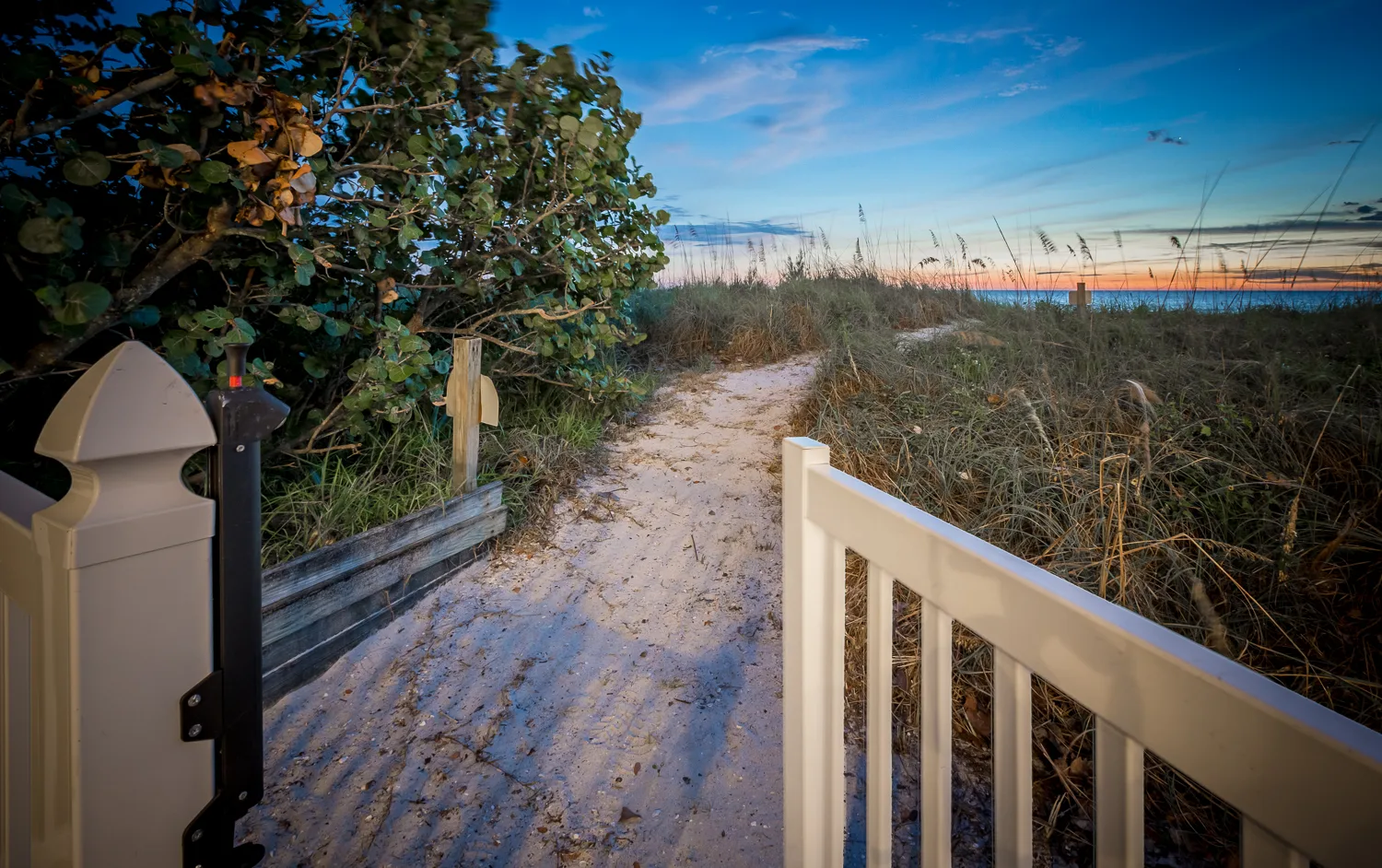 Sandy path through dune grass leading from a gate to the shore