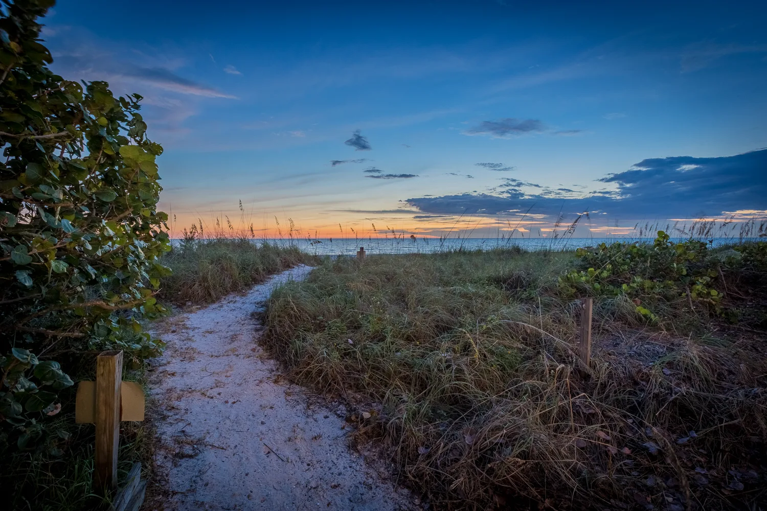 Sandy trail winding through dunes toward the water at sunset
