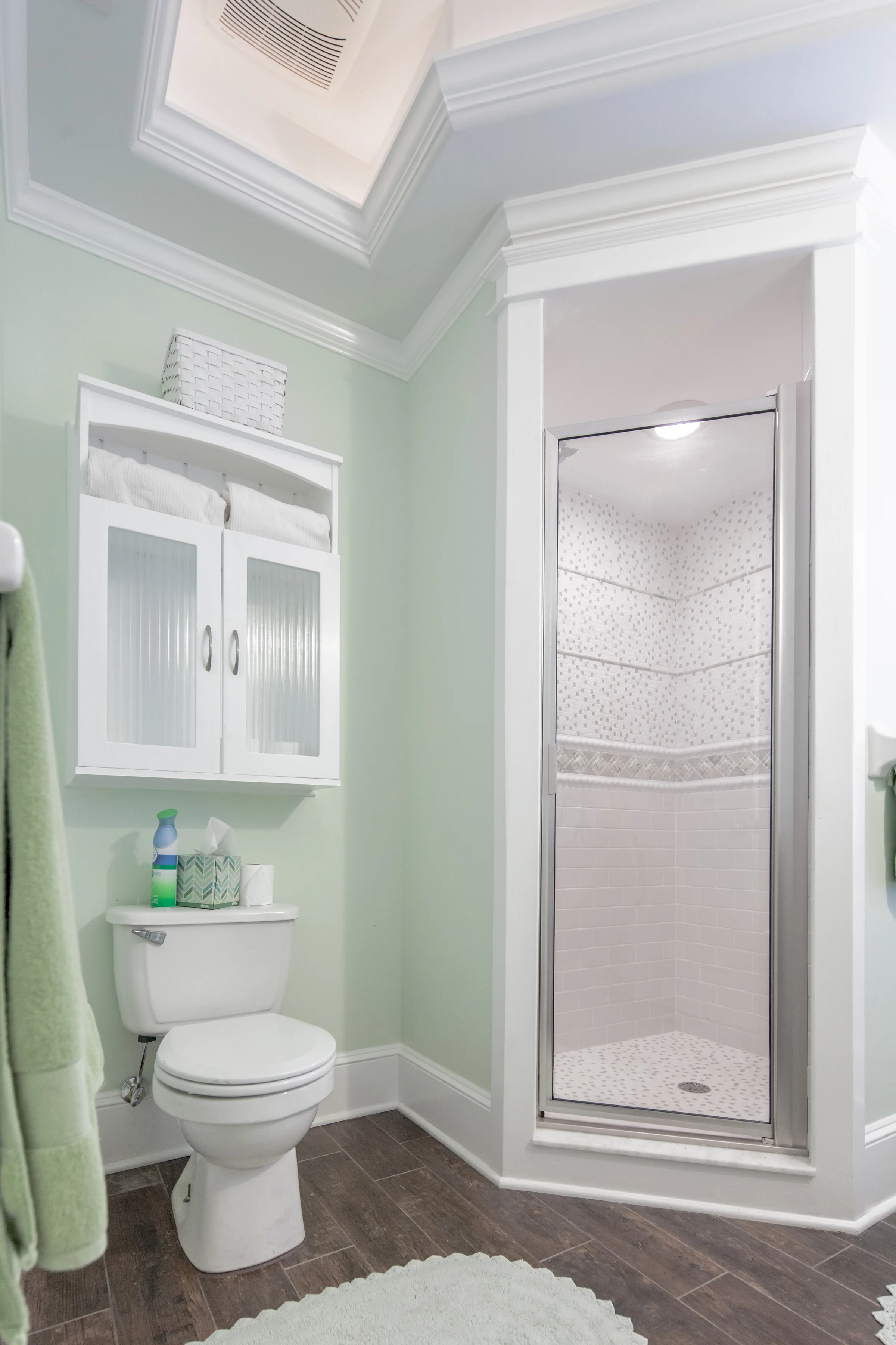 Mint bathroom with corner shower, skylight and glass-front storage cabinet