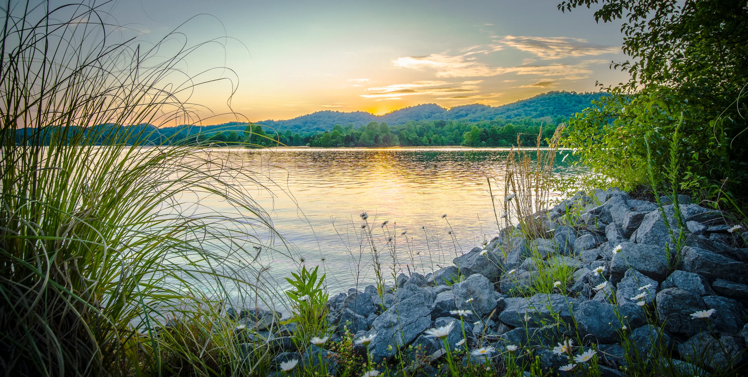 Sunset over calm water framed by tall grasses and rocky shoreline